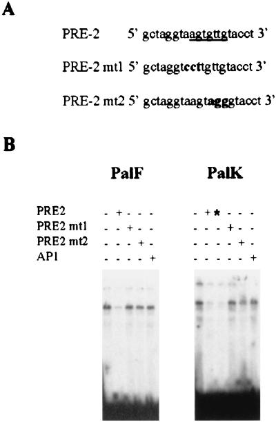 FIG. 7