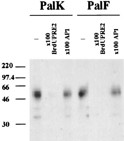 FIG. 10