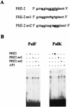 FIG. 7