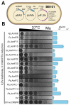 Figure 3: