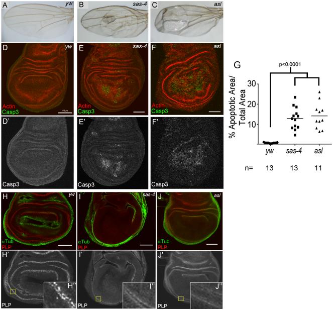 Fig1