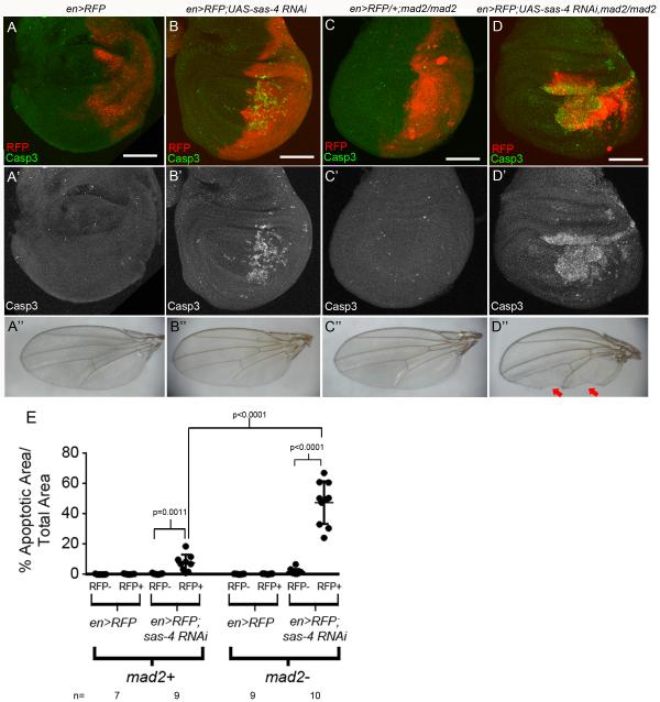 Fig4