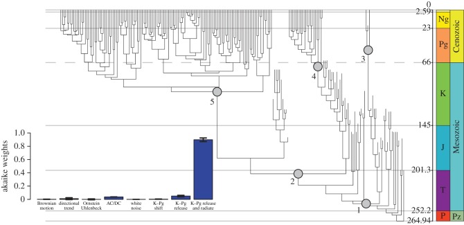 Figure 6.