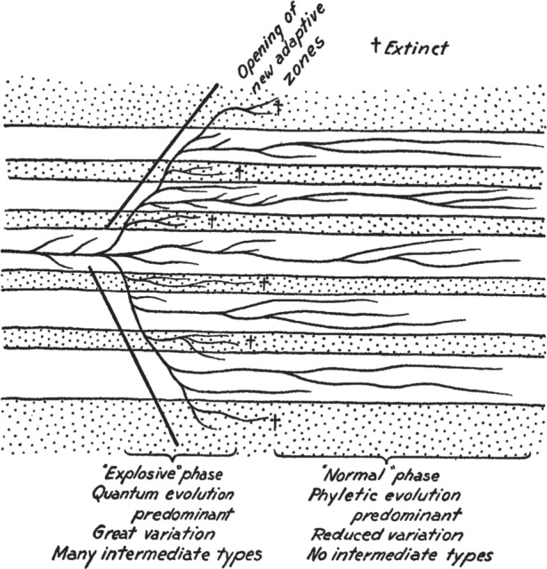 Figure 1.