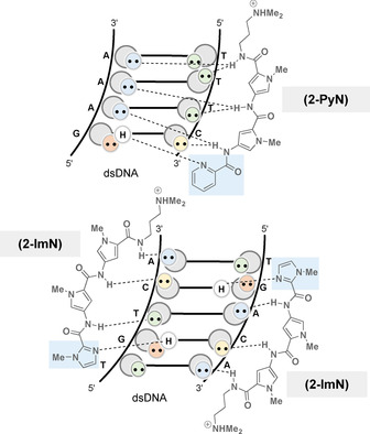 Figure 10