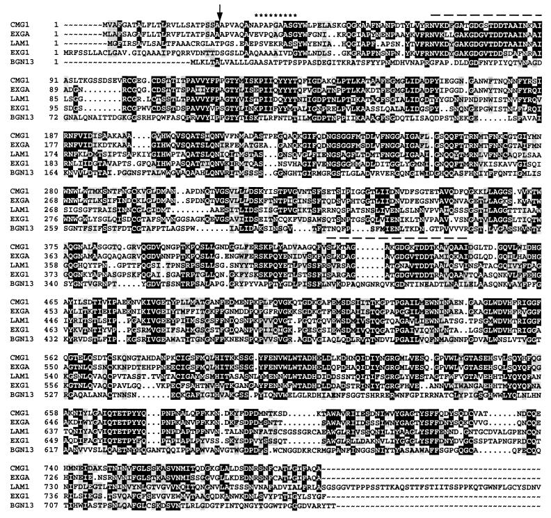 FIG. 1