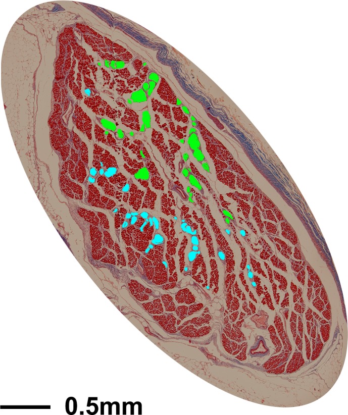 Figure 8