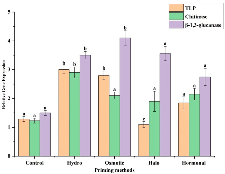 Figure 7