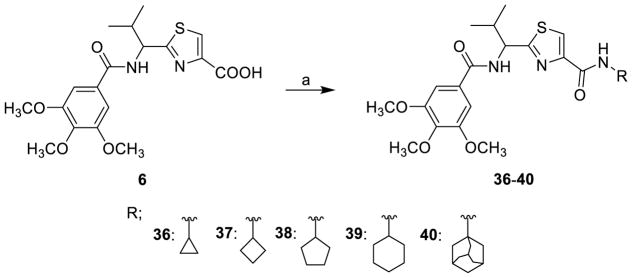 Scheme 5