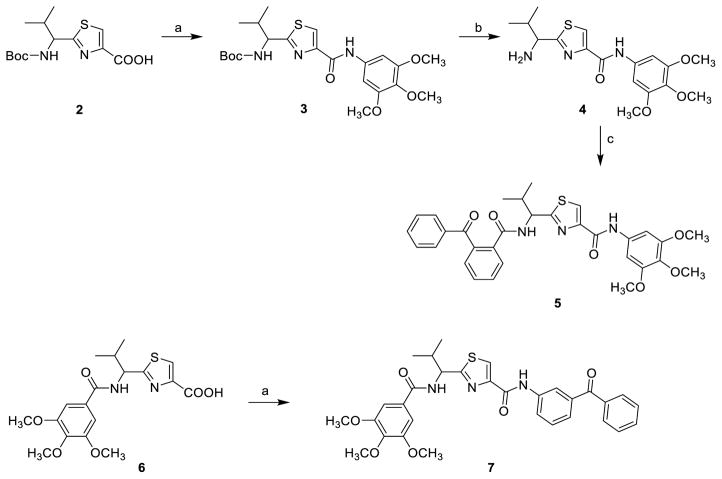 Scheme 1