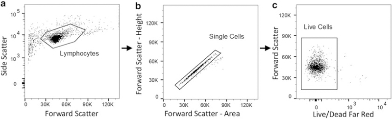 Fig. 3