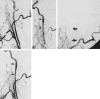 <sc>fig</sc> 1.