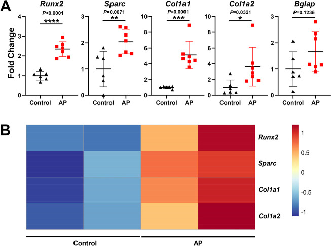 Figure 5—figure supplement 3.