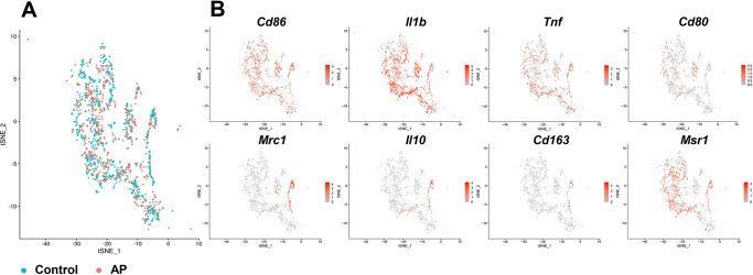 Figure 3—figure supplement 1.