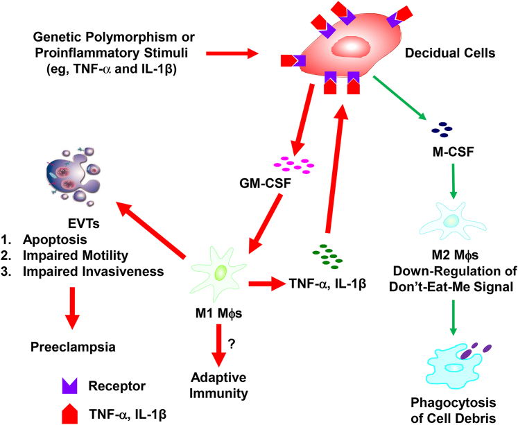 Figure 5