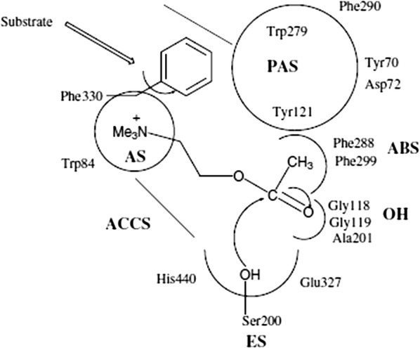 Fig. 13