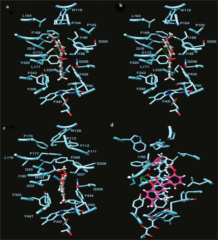 Fig. 64