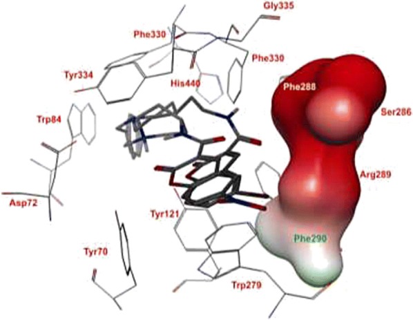 Fig. 20