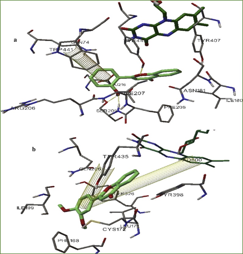 Fig. 62