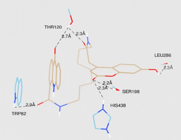 Fig. 48