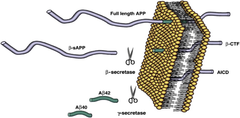 Fig. 2