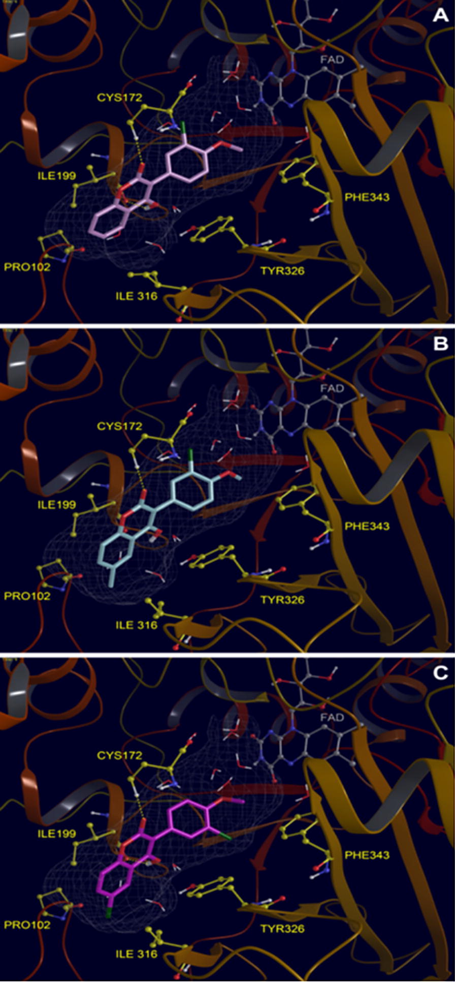 Fig. 70