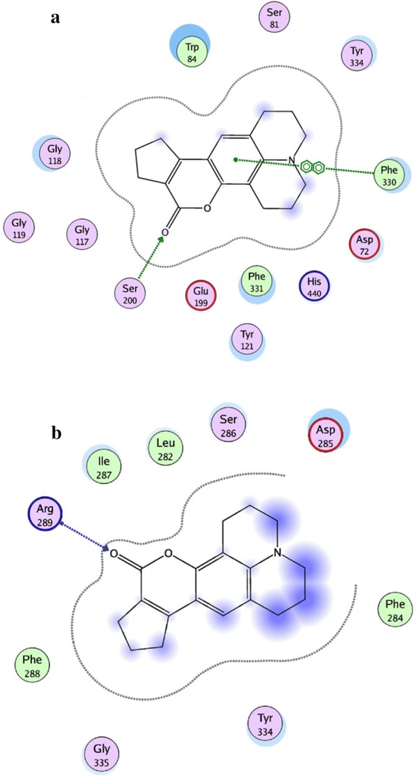 Fig. 5