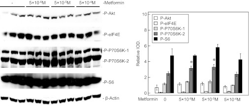 Fig. 9.