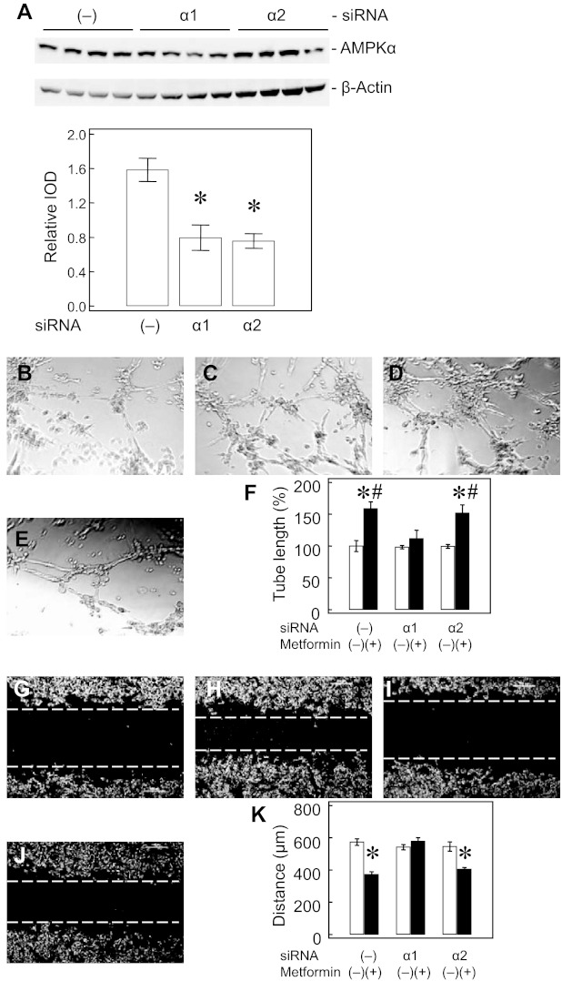 Fig. 10.