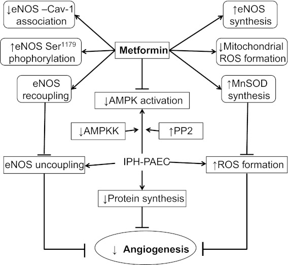 Fig. 11.