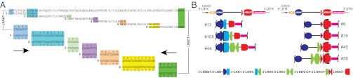 Fig. 3.