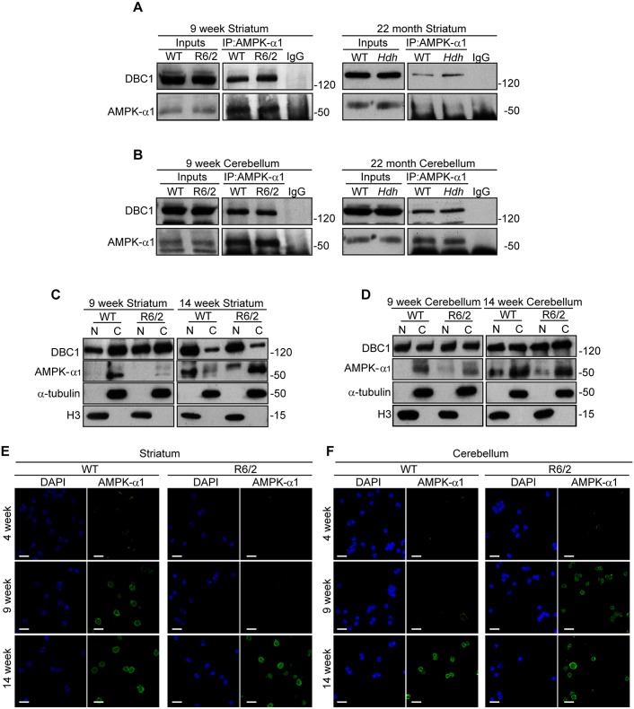 Fig 8