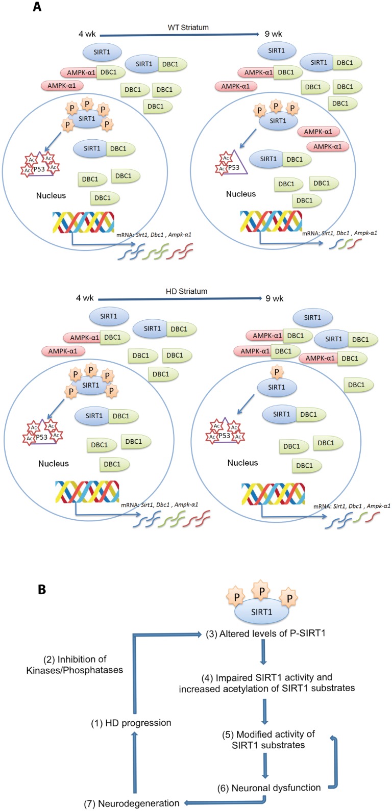 Fig 11