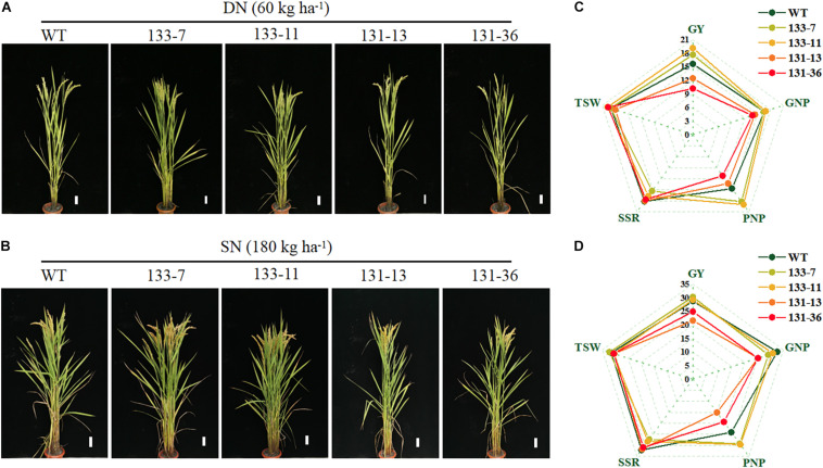 FIGURE 4