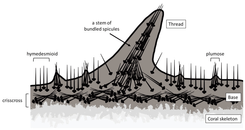 Fig. 8.