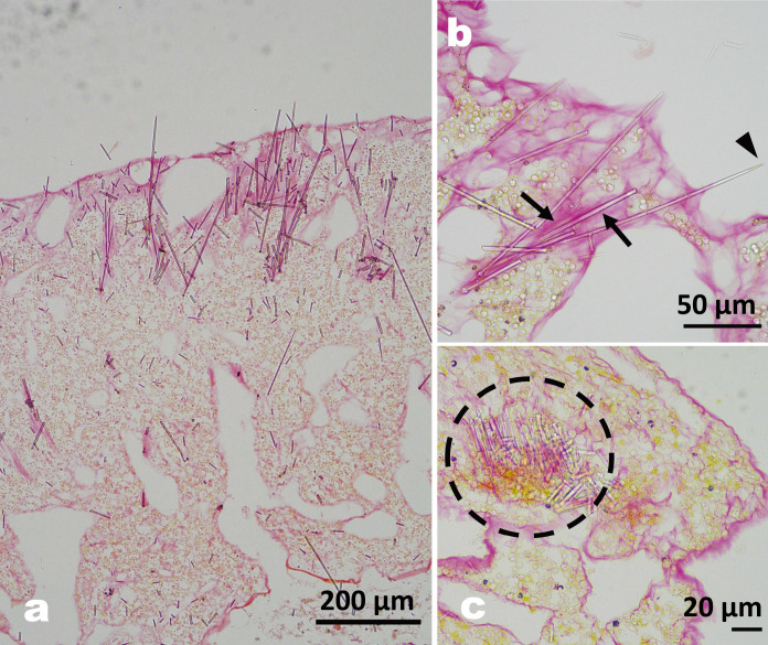 Fig. 4.