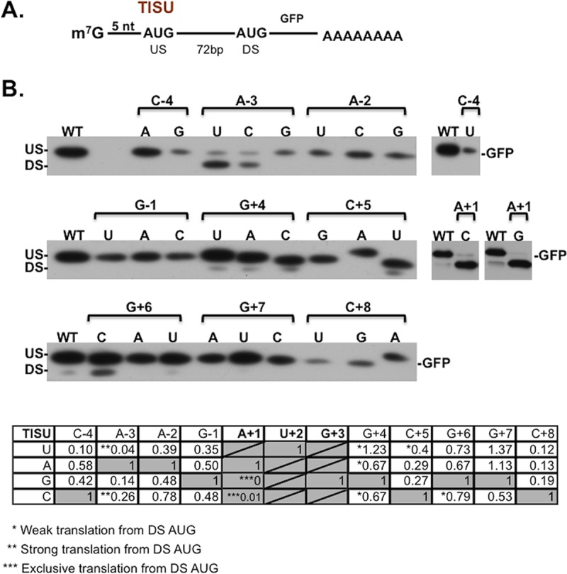 FIG 2