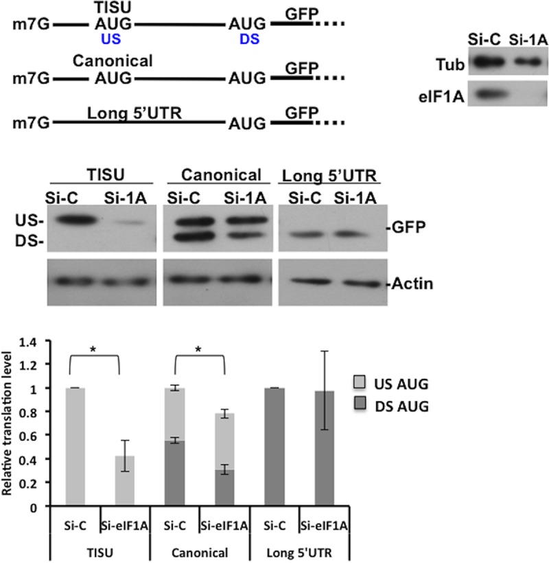 FIG 6