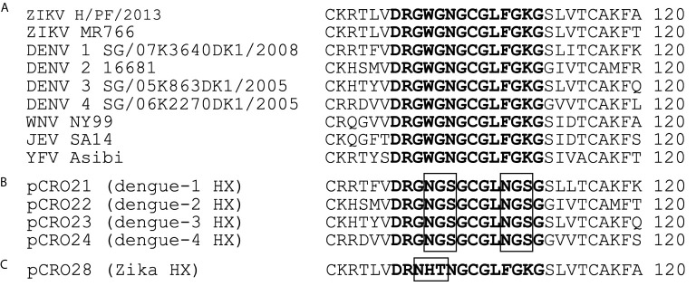 Figure 1