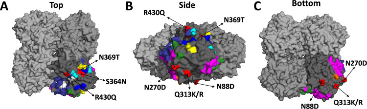 FIG 1