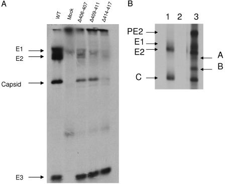 FIG. 4.