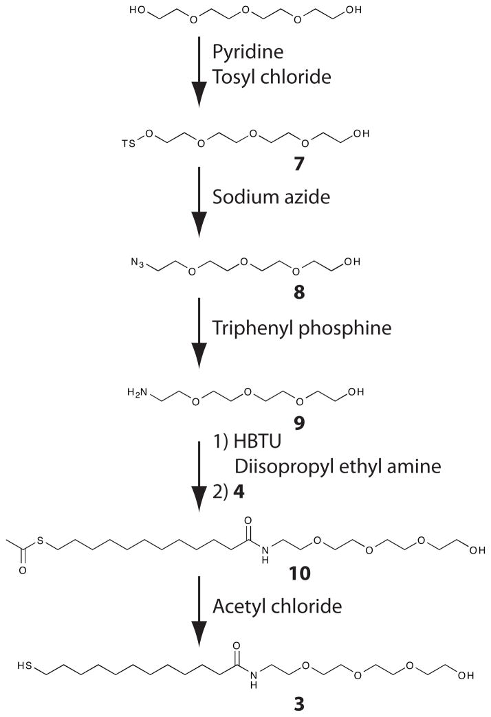 Scheme 2