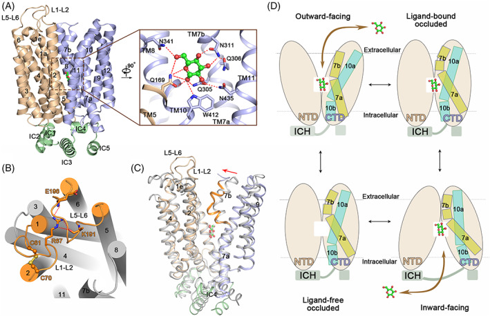 FIGURE 3