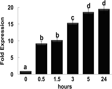 Fig. 3.