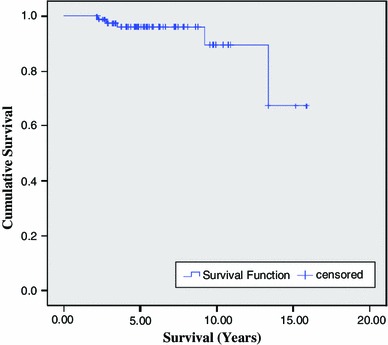 Fig. 4