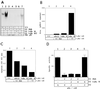 FIG. 9