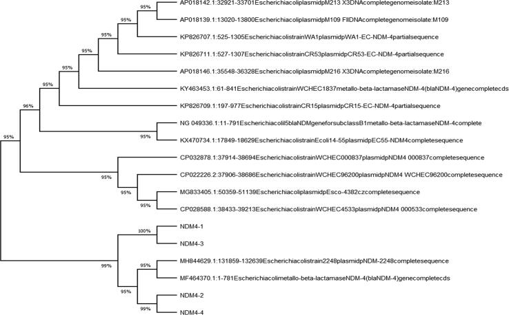 Fig. 4b