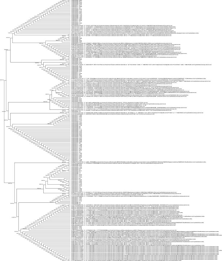 Fig. 4c