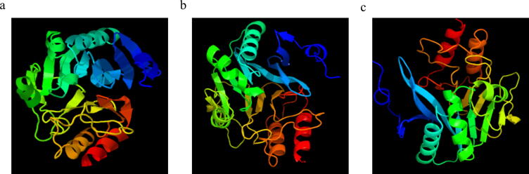 Fig. 6