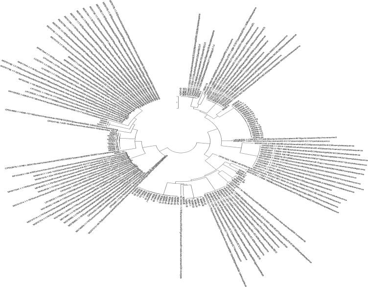 Fig. 5